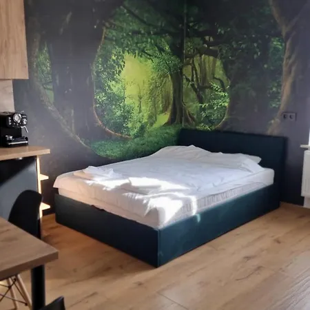 Z Opcja Jacuzzi Apartment Katowice