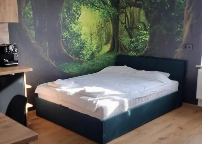 Z Opcja Jacuzzi Apartamento Katowice